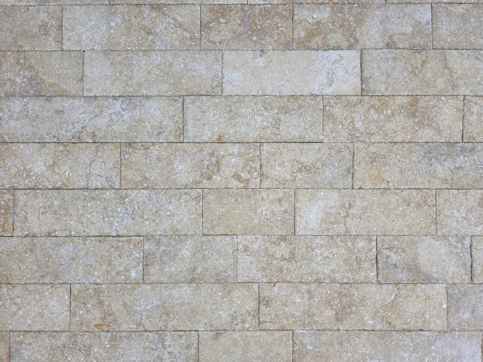 Menia chiseled acid - Image 2