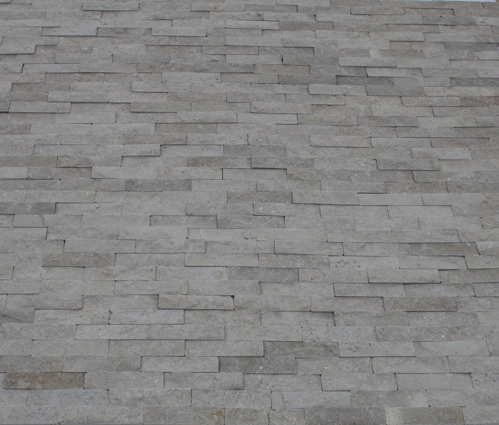 Triesta splitface - Image 3