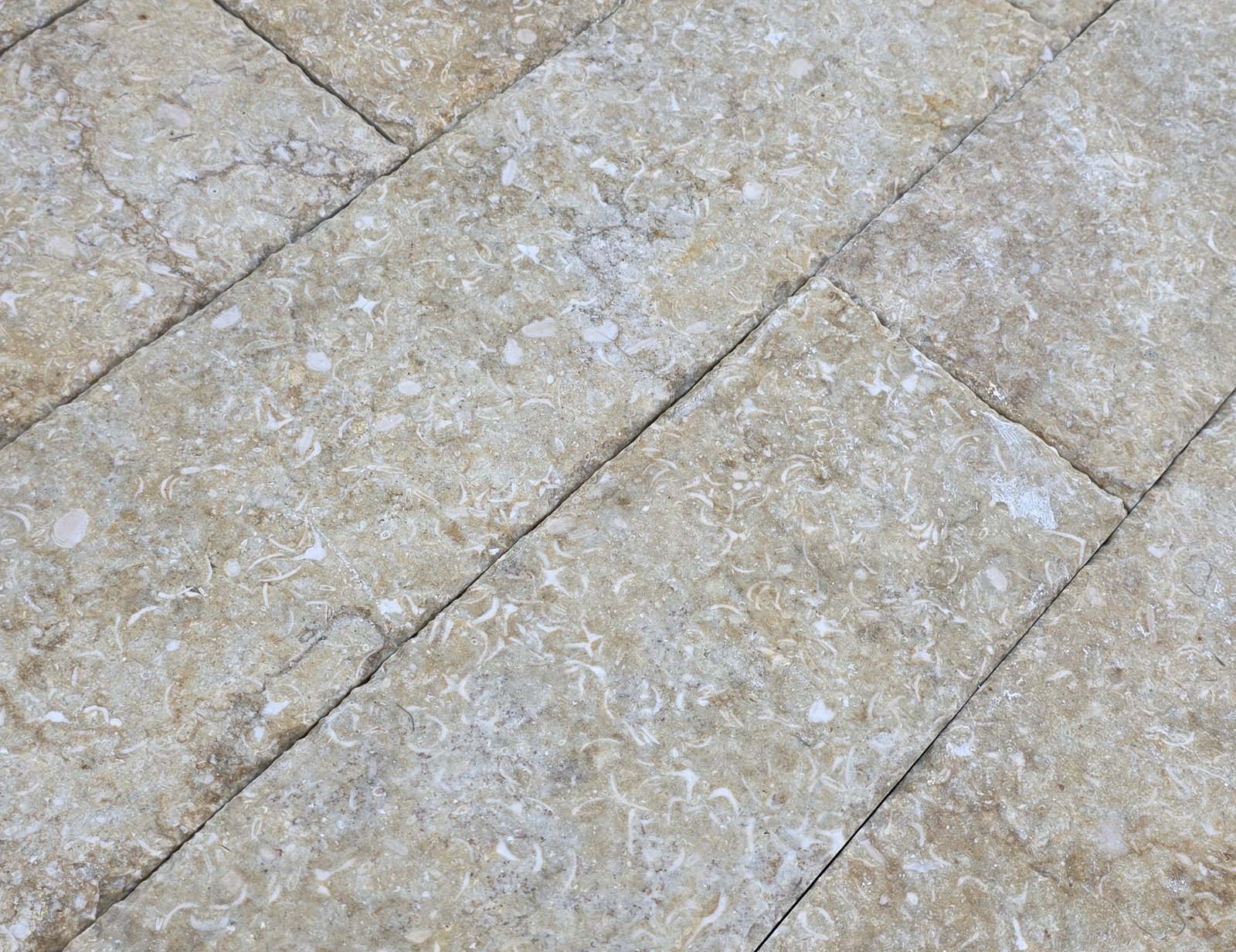 Menia chiseled acid - Image 4